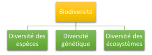 Schéma biodiversité